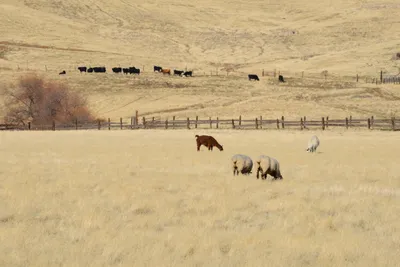 DSC_3127 (Large).JPG